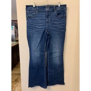 American Eagle Hi Rise Artist Flare Jeans Size 18